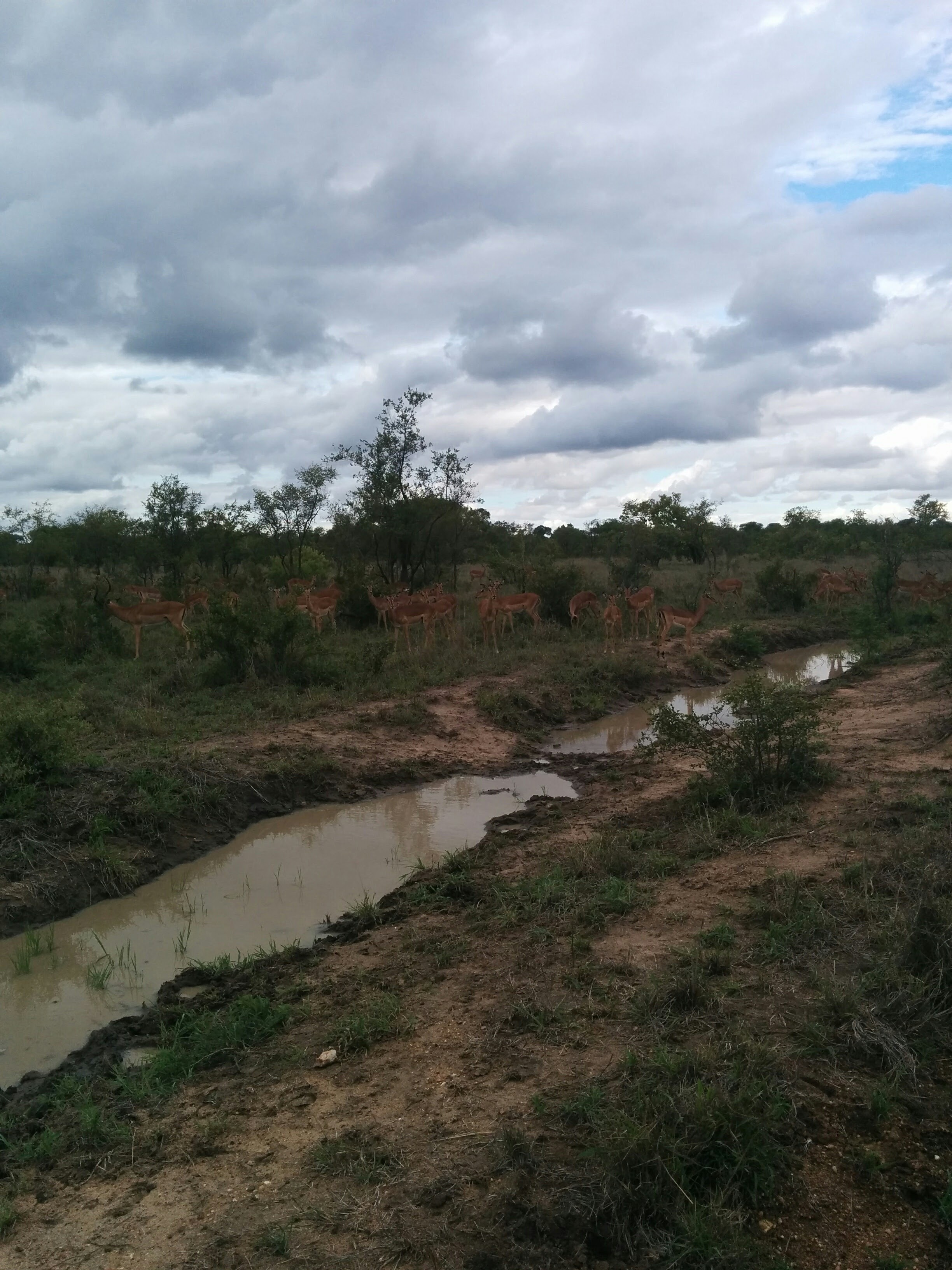 Cloudy landscape and water channel in South Africa.