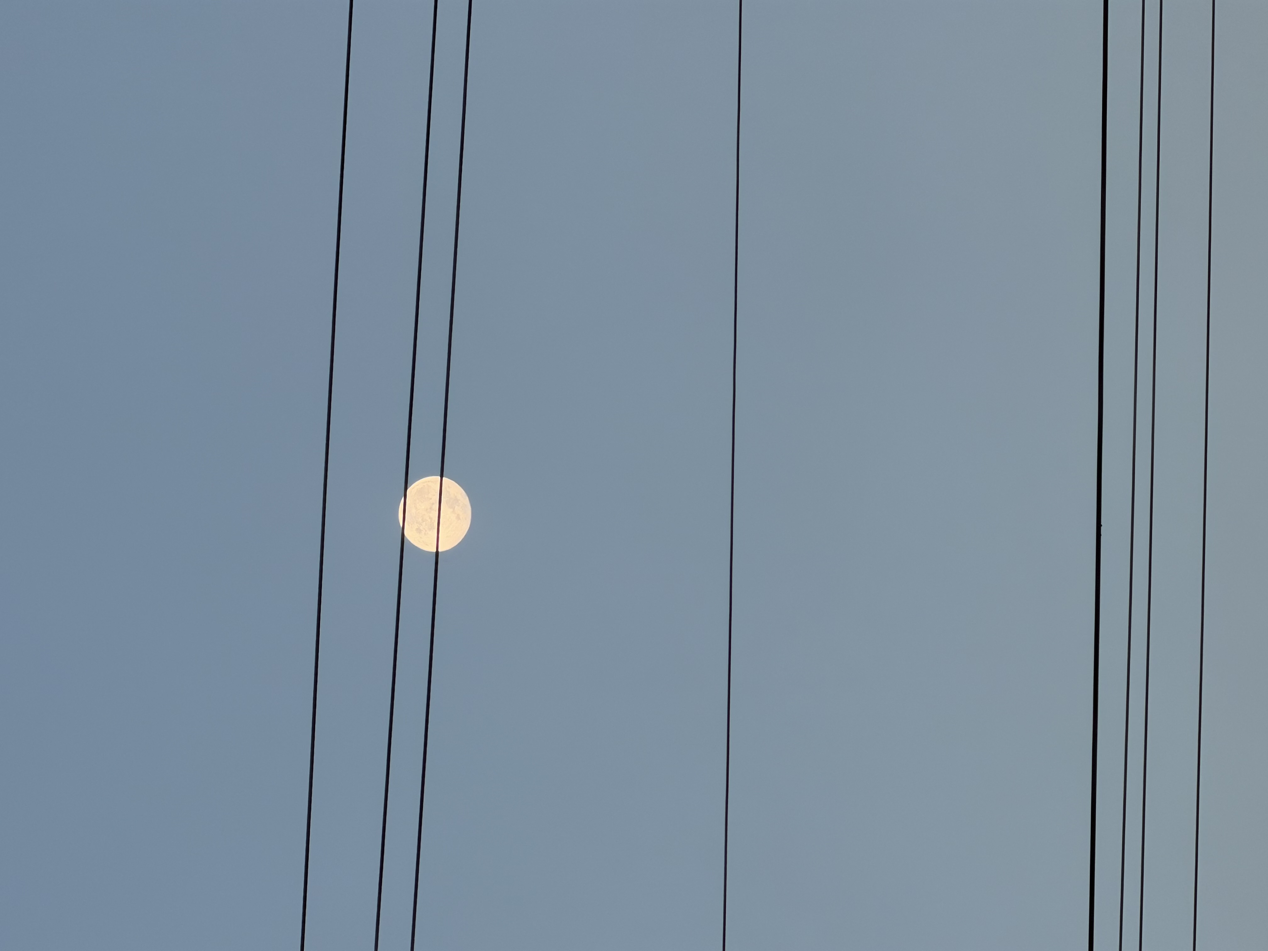 Full moon framed by utility lines in the United States.